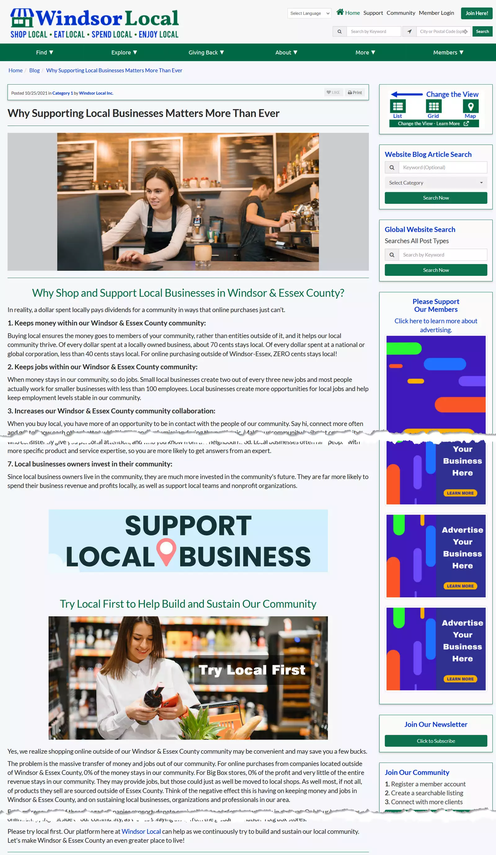 Windsor Local About - Why Local Matters view