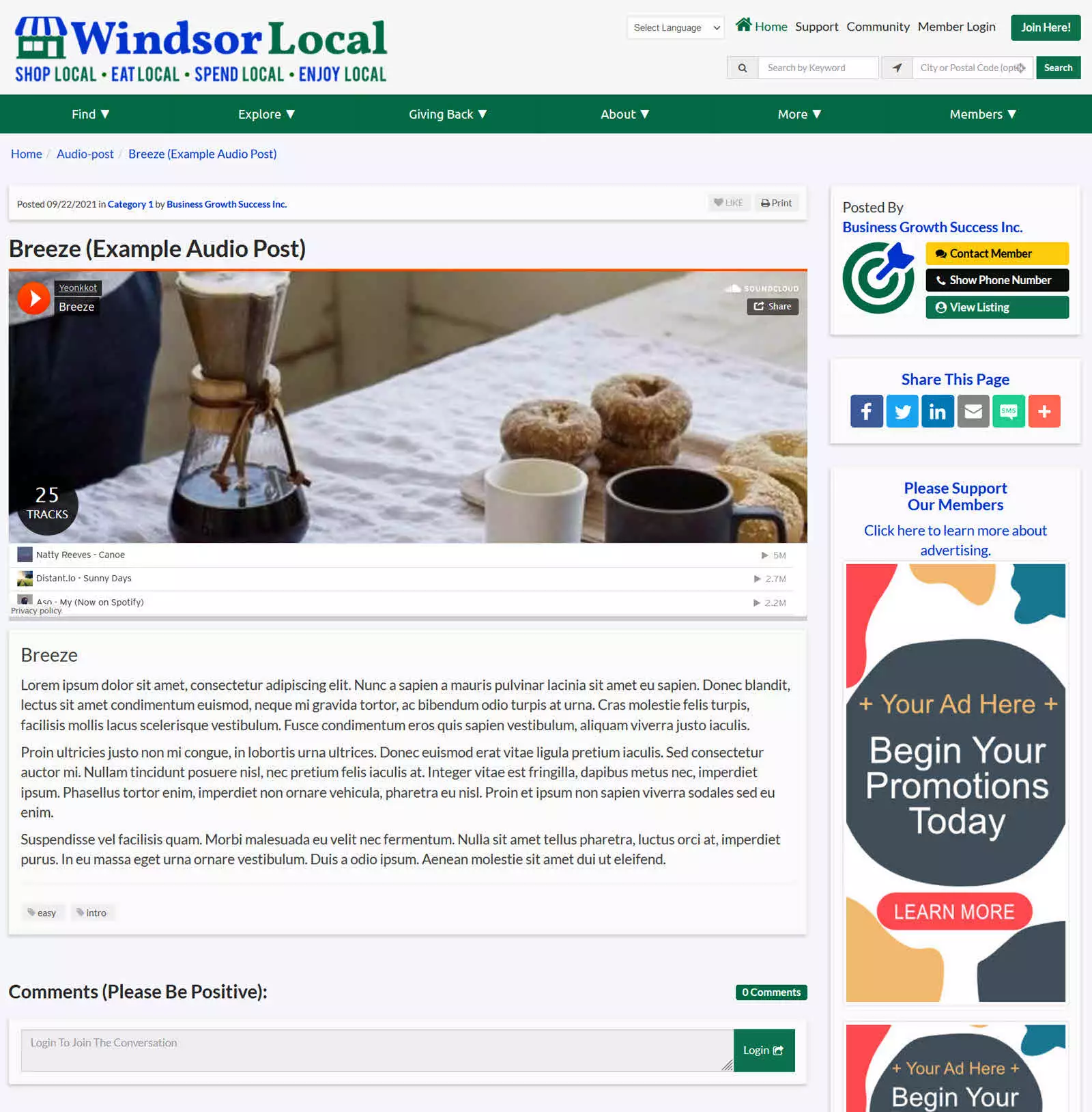 Windsor Local Videos Details view