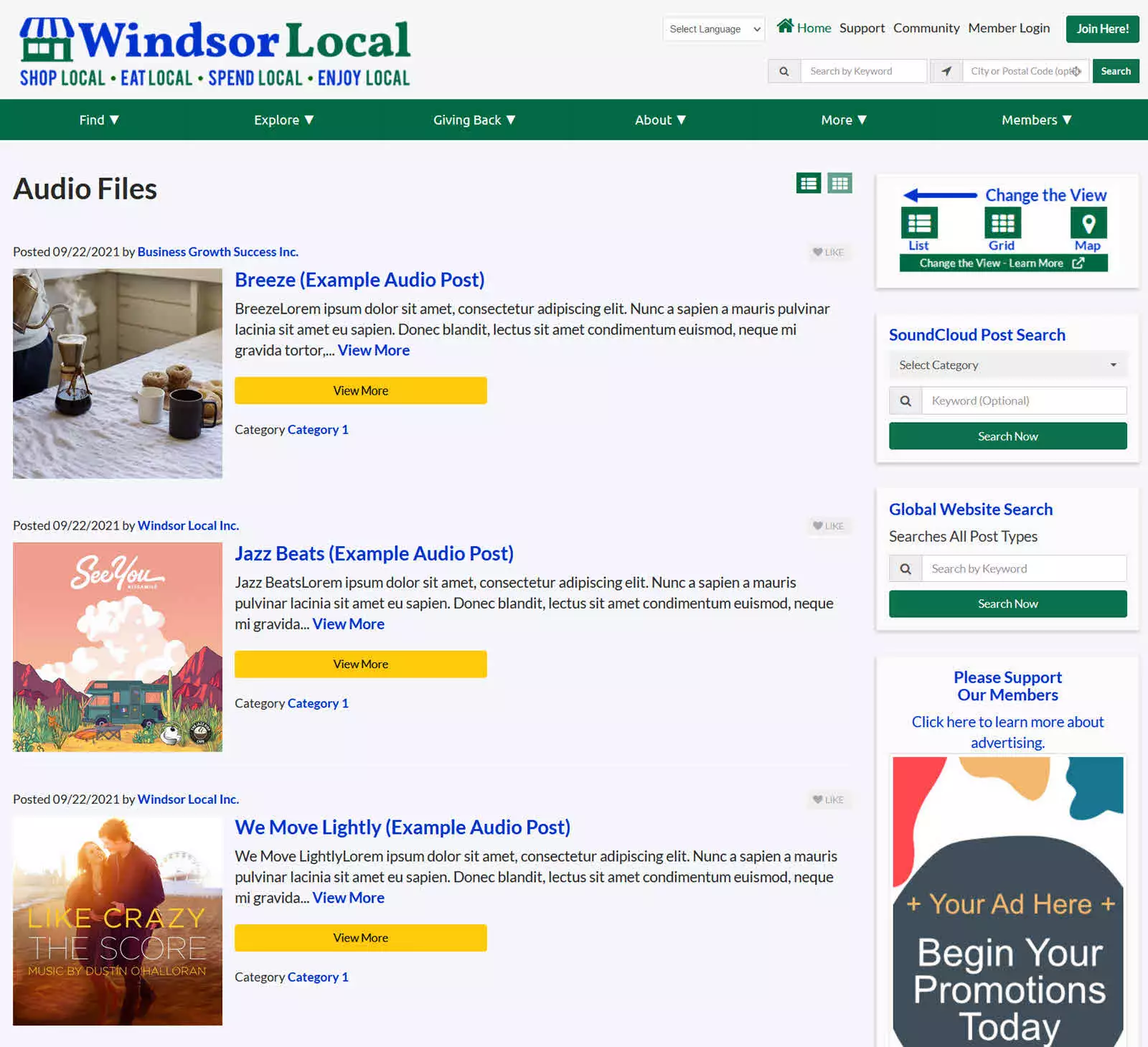 Windsor Local Videos Search Summary Results view