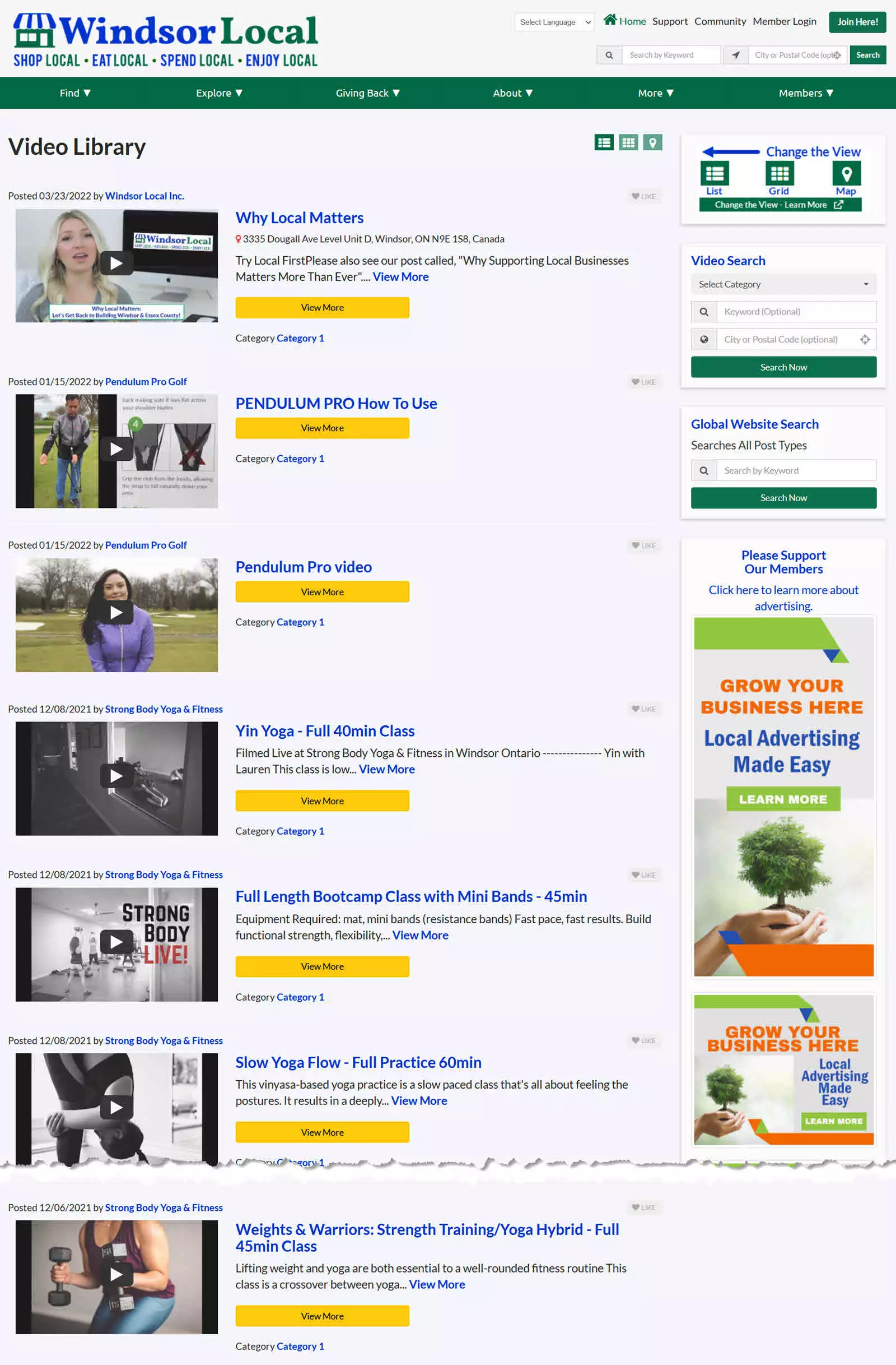Windsor Local Videos Search Summary Results view