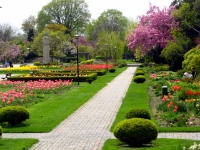 Jackson Park & The Queen Elizabeth II Gardens